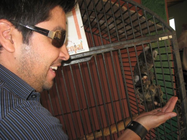  Learning about wildlife 